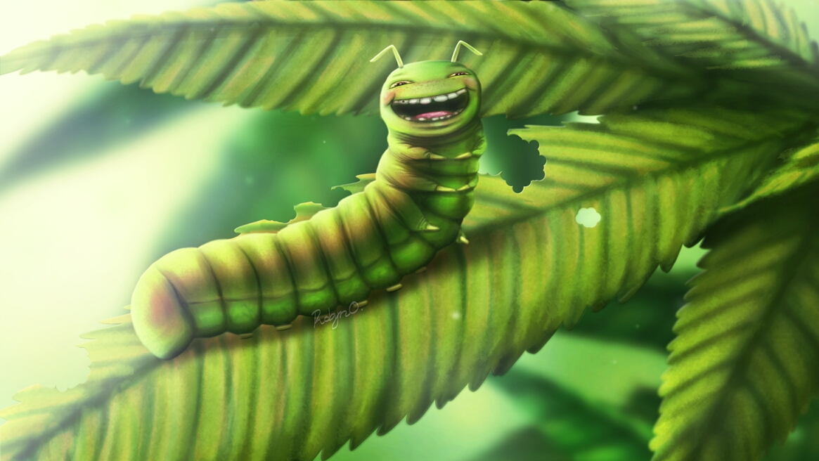 A caterpillar illustration
